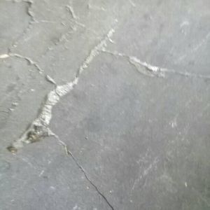 Meet your Posher, Isabel